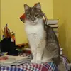 Отзыв от Александра Боброва